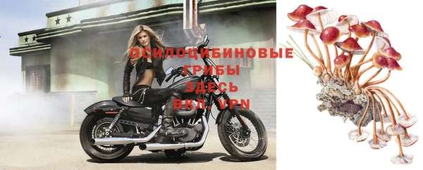 соль курить ск Балахна