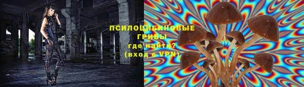 spice Баксан