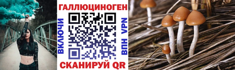 Псилоцибиновые грибы мицелий  Зеленогорск 